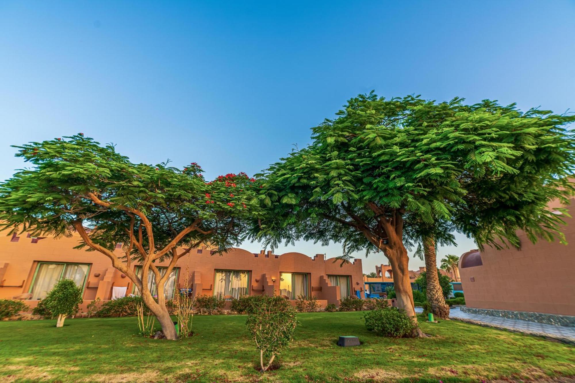 El Qoseir Akassia Swiss Resort מראה חיצוני תמונה